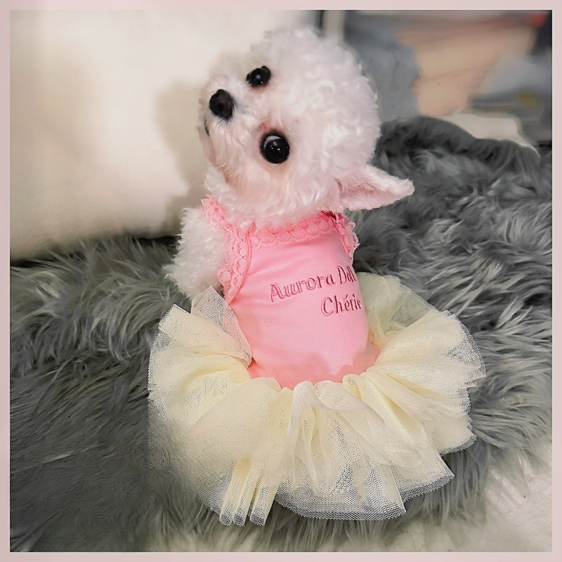 Robe de princesse tutu rose en - Embroidery Cream avis et prix