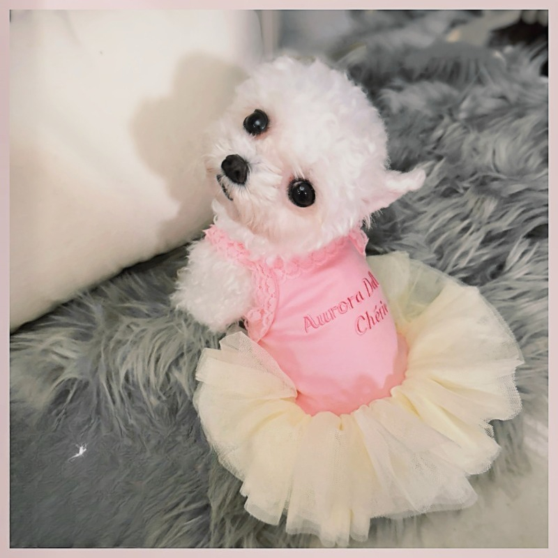 Robe de princesse tutu rose en - Embroidery Cream avis et prix